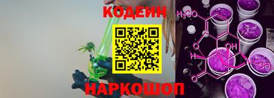 МДПВ Партизанск