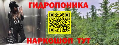 бошки Пенза