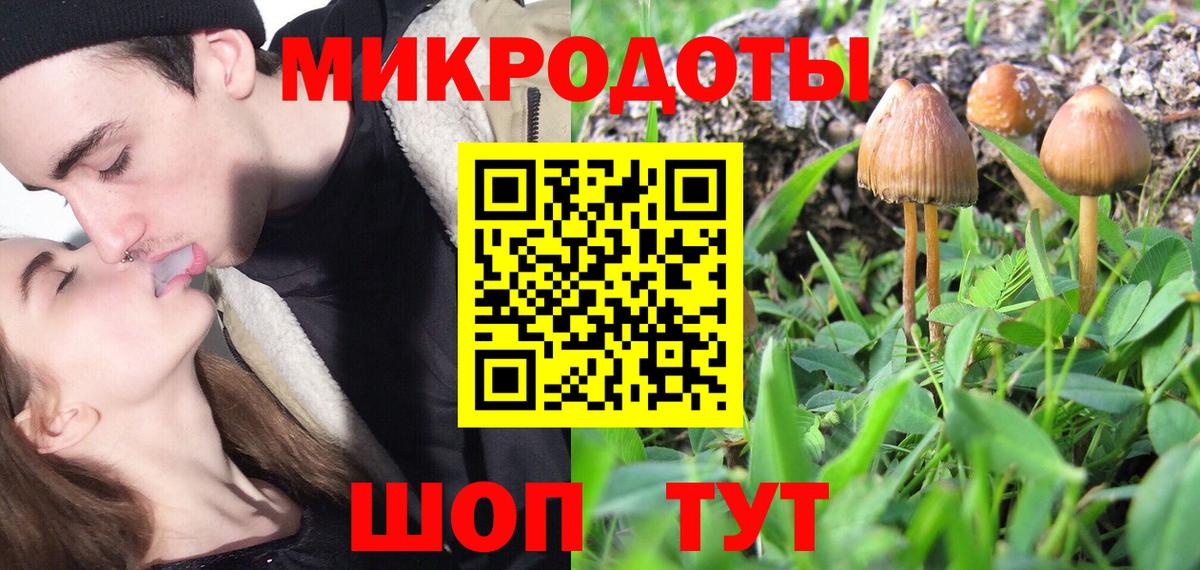 Псилоцибиновые грибы мицелий Сибай